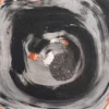 Zoomed In - Image 2