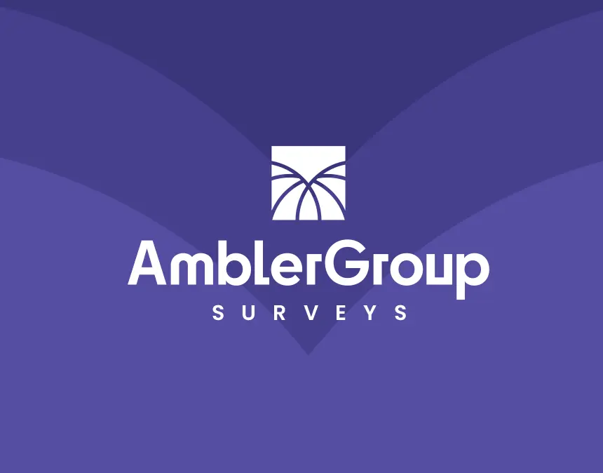 Ambler Group Surveys_branding